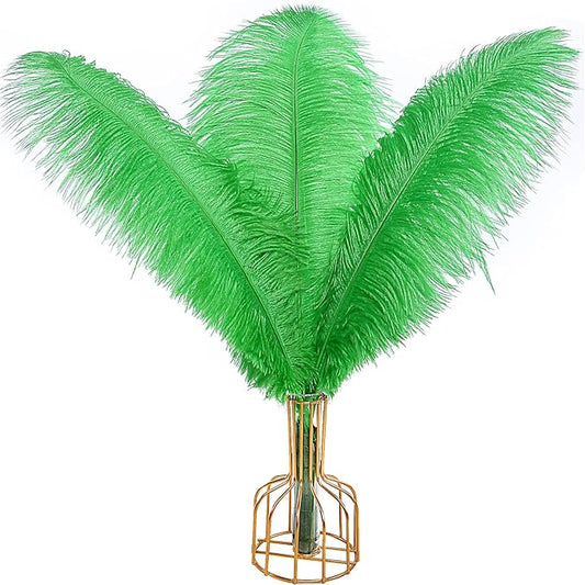 THARAHT Green Ostrich Feathers 12pcs Large Natural Bulk 14-16Inch 35cm-40cm for Wedding Party Centerpieces Mardi Gras and Home Decoration Feathers-Ruum Studio Home