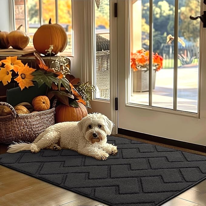 hicorfe Indoor Door Mat,Non Slip Door Mats,32"x48" Front Back Door Mat Rubber Backing,Absorbent Resist Dirt Entrance Inside Floor Mats for Entryway Washable Low-Profile(Charcoal)-Ruum Studio Home