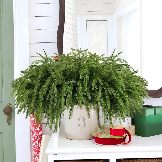 24 Pcs Artificial Norfolk Pine Branches, Faux Norfolk Pine Stems DIY Crafts Faux Christmas Norfolk Pine Branches for Xmas Indoor Outdoor Home Decor (24)-Ruum Studio Home