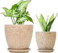 8 Inch + 6 Inch Retro Ceramic Planter Set of 2 with Drainage Hole and Saucer for Multiple Plants, Indoor-Outdoor Garden Pots for Succulent, Orchid, and Flower (Retro Peach)-Ruum Studio Home