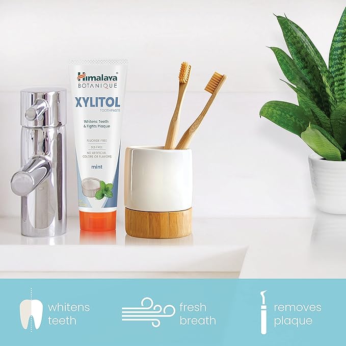 Himalaya Botanique Xylitol Toothpaste, Mint Flavor - Fluoride Free Toothpaste to Whiten Teeth, Fight Plaque and for Fresh Breath - Vegan, Gluten Free, No Artificial Flavors or Colors, 4 oz-Ruum Studio Home