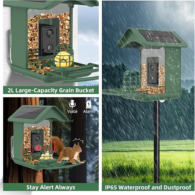 Smart Bird Feeder with Camera, AI Species Identify, Dual Solar Powered Birdfeeder Cam for Outside IP65 with 2.4GHz WiFi, 2K HD Auto Capture Birds Video for Bird Lover (Green)-Ruum Studio Home