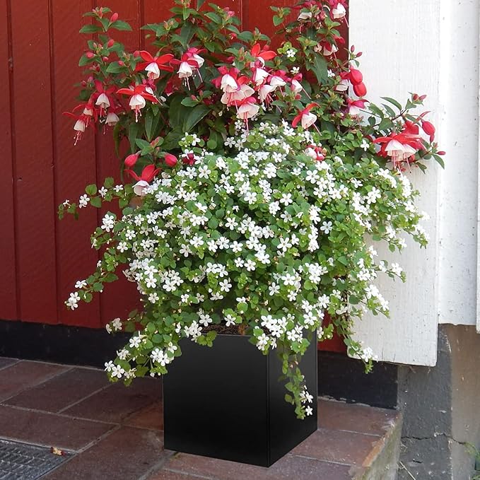 Galvanized Steel Planter Box Black Metal Planter Large Square Indoor Outdoor Planters Cube Steel Heavy Duty Flower Pot 16Inch Powder Coating Modern Commercial Residential for Patio, Deck, Yard, Garden-Ruum Studio Home