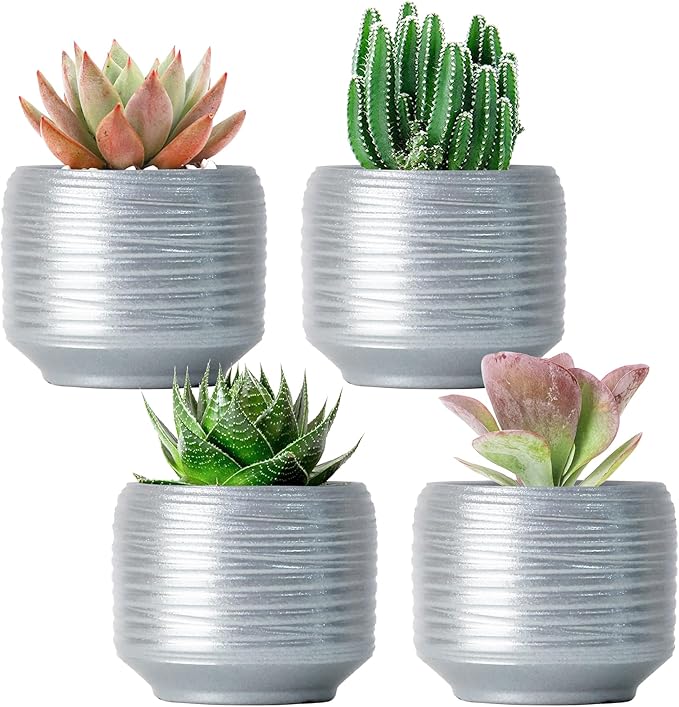 Mini Succulent Planter Set – 3.7 Inch Ceramic Pots with Drainage for Indoor Plants, Small Decorative Flower Pots for Cactus and House Plants, Set of 4-Ruum Studio Home