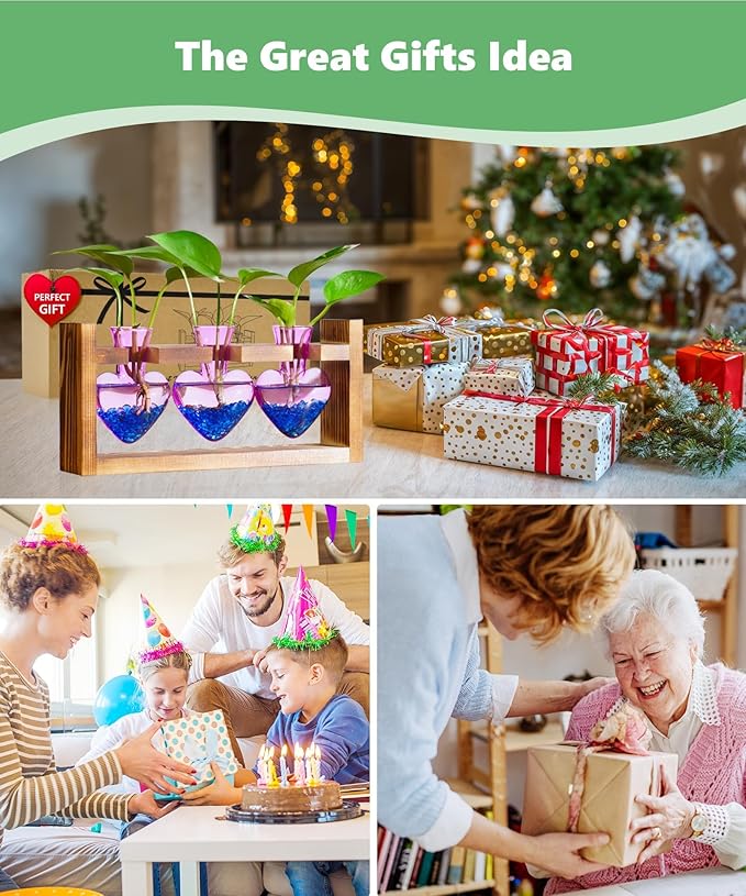 Nacome Plant Terrarium for Office Decor: Birthday Gifts for Plant Lovers Women Mom Wife - Wooden Stand Tabletop Planter 3 Bulb Glass Vase Heart Shaped for Hydroponics Indoor Home(Purple)-Ruum Studio Home