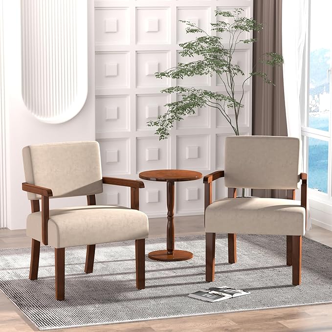 Accent Chair, Cat-Scratch Velvet Living Room Chairs Oversize with Soft Seat and Armrests for Dinning Room Bedroom Reading Room Waiting Room-Ruum Studio Home