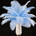 THARAHT Light Purple Ostrich Feathers 12pcs Natural Bulk 8-10Inch 20cm-25cm for Crafts Wedding Party Centerpieces Easter Gatsbi and Home Decoration Feathers-Ruum Studio Home