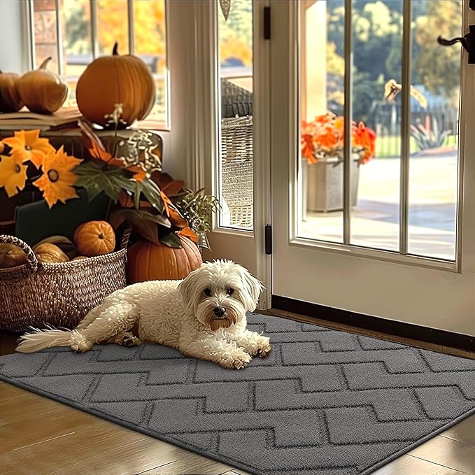 hicorfe Indoor Door Mat,Non Slip Door Mats,32"x48" Front Back Door Mat Rubber Backing,Absorbent Resist Dirt Entrance Inside Floor Mats for Entryway Washable Low-Profile(Grey)-Ruum Studio Home