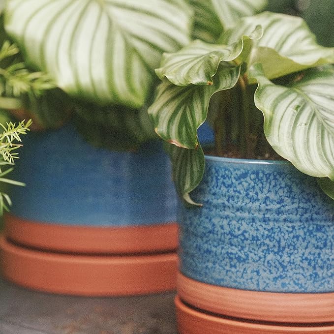 8 Inch Pots for Plants, Ceramic Planter Pot with Drainage Hole & Saucer, Indoor/Outdoor Cylinder Round Planter Pot, Blue & Terracotta-Ruum Studio Home