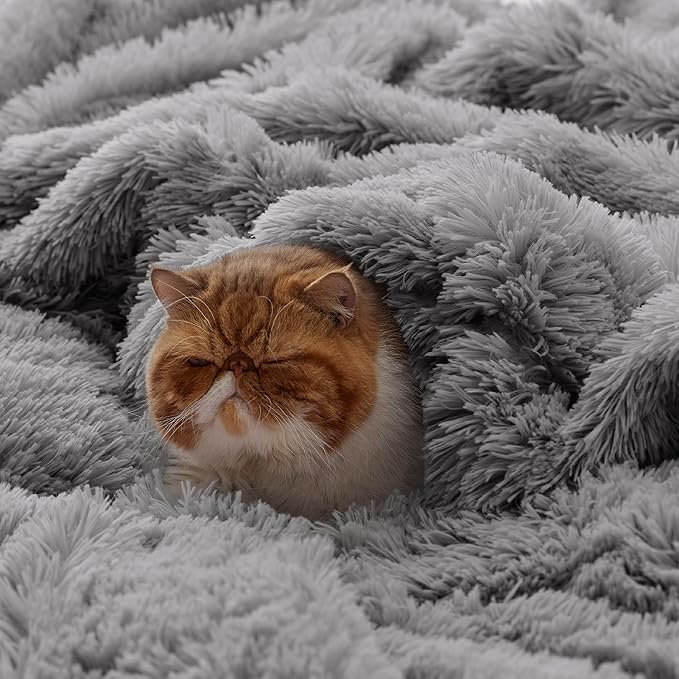 Bedsure GentleSoft Fluffy Grey Blankets Queen Size for Bed, Thick Sherpa Faux Fur Fleece Fuzzy Plush Winter Warm Heavy Soft Queen Blankets, Bedroom Decor Grey Gifts Cozy Gifts for Women Men, 90x90-Ruum Studio Home