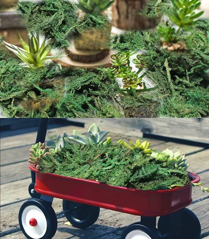 35 OZ Artificial Moss for Fake Plants and Planters - Decorative Faux Moss for Craft and Home Decor-Ruum Studio Home