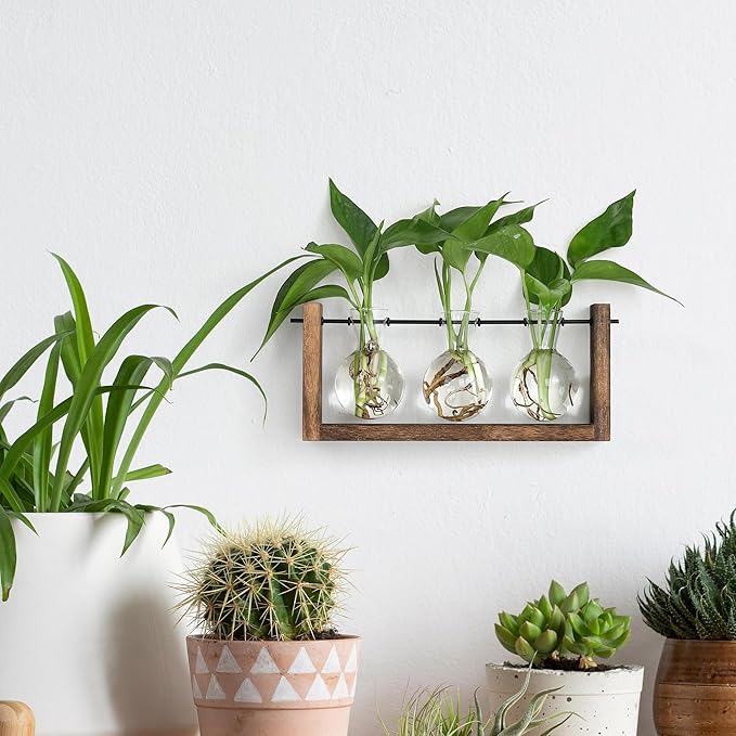 YIBOT Plants Propagation Stations,Plant Terrarium with Wooden Stand Wall Hanging Glass Planter Plant Propagation Vase for Indoor Office Home Garden Decor Plant Lover Gifts for Women-Ruum Studio Home