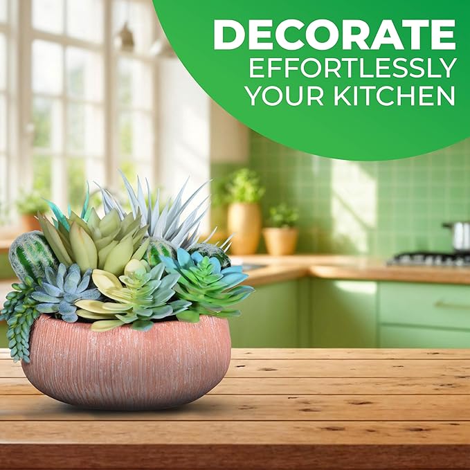 Premium Assorted Artificial Succulent Collection - Large Real Touch Artificial Cactus, Aloe Vera & Succulent Plants Artificial with Pots for Home Office Indoor (Artificial Coconut Shell - Pot)-Ruum Studio Home