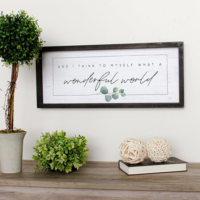 Simply Said, INC Farmhouse Frames What a Wonderful World Wooden Sign, Rustic Framed Wall Art, Inspirational Farmhouse Home Decor, 10 x 24 Inch-Ruum Studio Home