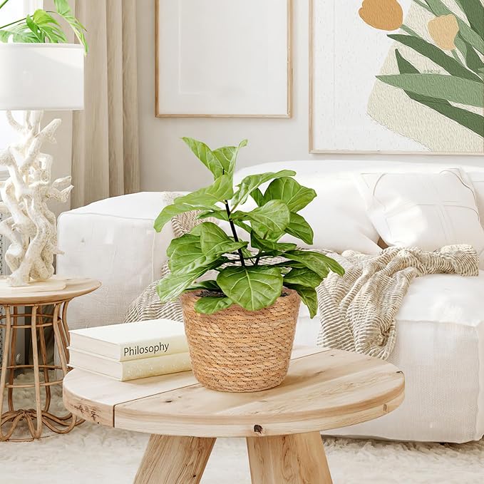 Woven Straw Flower Pot Seagrass Planters Basket Garden Plant Pot Containers Wicker Rattan Vase Sundries Organizer Storage Bins for Indoor Outdoor Plants-Ruum Studio Home