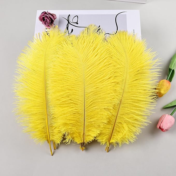 THARAHT Yellow Ostrich Feathers 12pcs Natural Bulk 8-10Inch 20cm-25cm for Crafts Wedding Party Centerpieces Halloween and Home Decoration Feathers-Ruum Studio Home