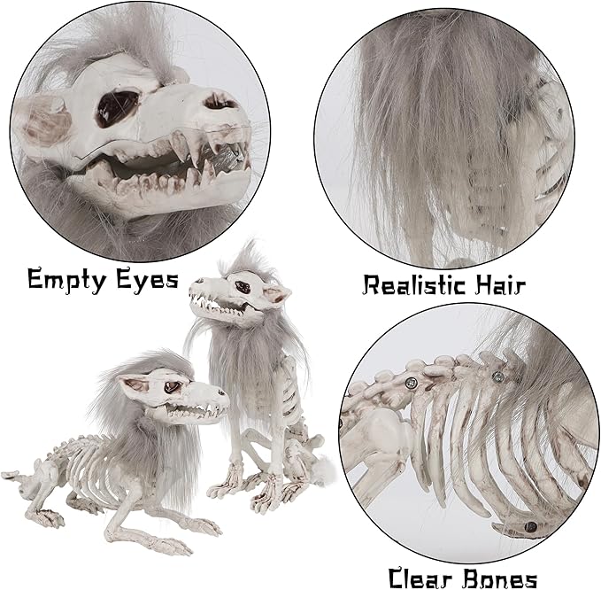 DR.DUDU 2 Pack Halloween Skeleton Wolf Decorations, Life Size Animals Skeletons Poseable Halloween Decor Plastic Bones with Hair Wolf Skull Figurines for Table Yard Lawn Party Props Décor-Ruum Studio Home