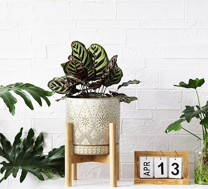 8 Inch Plant Pot with Stand, Ceramic Planter with Drainage Holes, Saucers and Mesh Pads for Indoor-Outdoor Plants-Ruum Studio Home