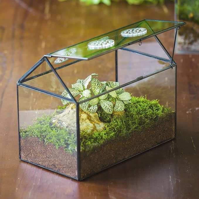 NCYP Glass Terrarium with Lid and Air Holes for Snails, Succulents Plants, Small Cactus - 10.2" x 5.9" x 8.2" House Shape Geometric Clear Box, Indoor Tabletop Decor Black (Terrarium Only)-Ruum Studio Home