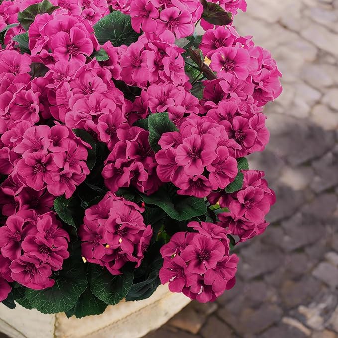 Hananona 12 Pcs Artificial Geranium Flowers for Outdoors Geranium Silk Flowers Outdoor UV Resistant Garden Plants Faux Flowers for Ptio Front Door Kitchen Table Centerpieces Home Decor (12, Rose Red)-Ruum Studio Home