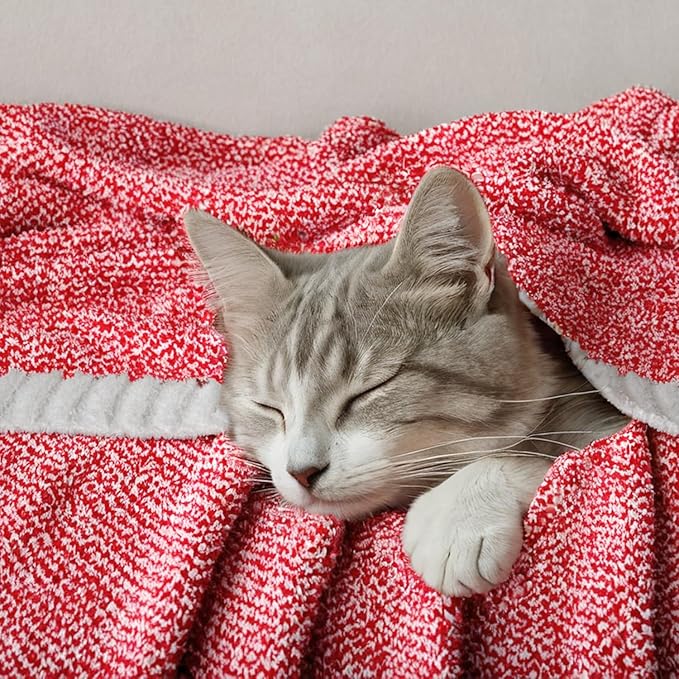 MIULEE Red Super Soft Throw Blanket for Couch, Cozy Fluffy Warm Blankets Knit Throw Blankets for Sofa, Bed, Chair, Living Room, Camping, Picnic, 50 x 60 inch-Ruum Studio Home