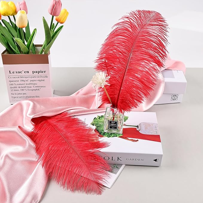 THARAHT Red Ostrich Feathers 12pcs Natural Bulk 8-10Inch 20cm-25cm for Crafts Wedding Party Centerpieces Flower Arrangement Halloween and Home Decoration Feathers-Ruum Studio Home