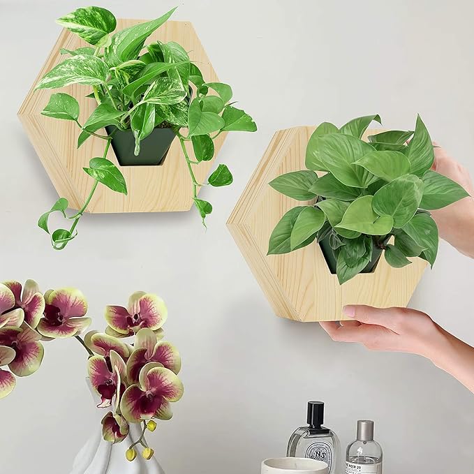 Hexagonal Wooden Wall Planter, Self Watering Living Vertical Planters Indoor, Wooden Frame Planter Wall Decoration Home Office 2pc-Ruum Studio Home