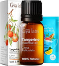 Gya Labs Tangerine Essential Oil for Diffuser - 0.34 Fl Oz - 100% Pure Natural Tangerine Oil for Skin, Massage, DIY Fragrances & Candle Making Scent-Ruum Studio Home