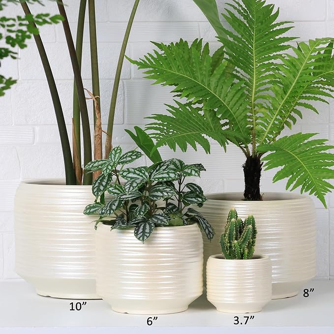 10 Inch Ceramic Plant Pot with Drainage – Large Flower Pot for Indoor Outdoor Plants, Modern Decorative Planter for Patio, Balcony, Garden, or Home Decor-Ruum Studio Home
