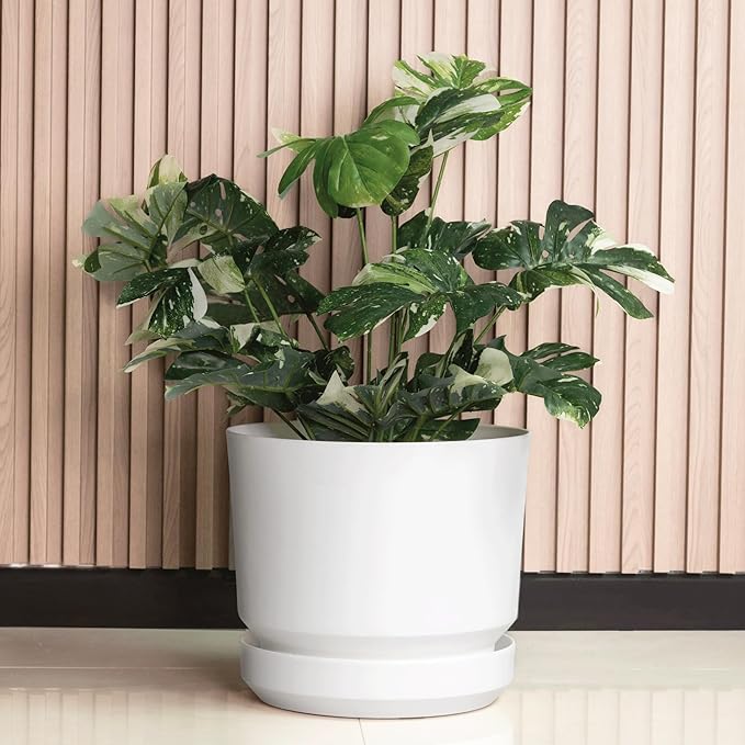 Elly Décor 8 inch Plastic Cylinder Planter Pot with Self-Watering Saucer and Drainage Hole,Lightweight & Extremely Durable, 8"x 8", White-Ruum Studio Home