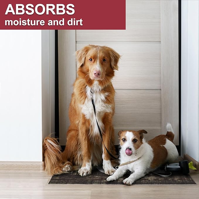 Floor Mat - for Indoor and Outdoor Use - Doormat - Non-Slip - Front Door Shoe Scraper - Size: 17x29-Ruum Studio Home