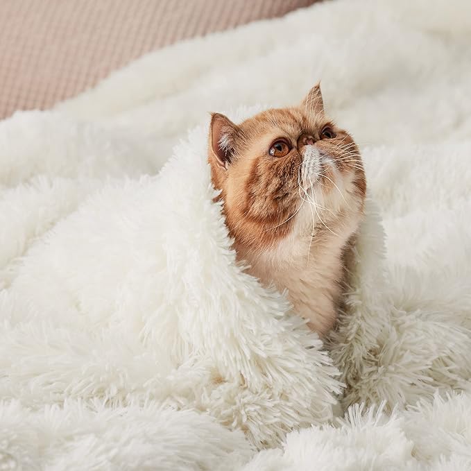 Bedsure GentleSoft Fluffy Cream Throw Blanket Decorative Blankets for Bed Couch Sofa, Cream Decor Sherpa Fleece Soft Cozy Fuzzy Plush Thick Warm Faux Fur Decorations, Ivory Baby Girl Gifts, 50x60-Ruum Studio Home