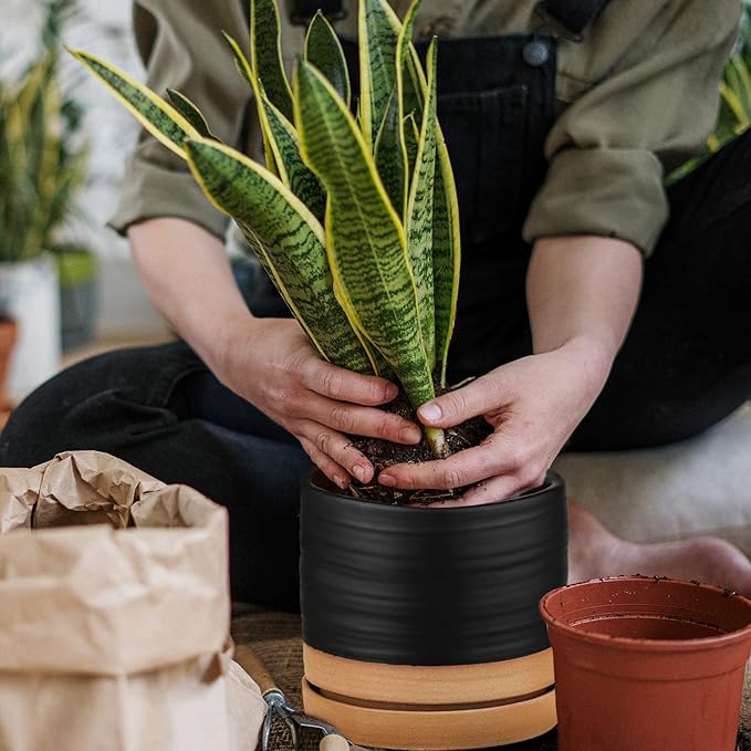 6 Inch Plant Pots, Ceramic Planter Pot with Drainage Hole & Saucer, Indoor/Outdoor Cylinder Round Planter Pot, Matte Black & Brown-Ruum Studio Home