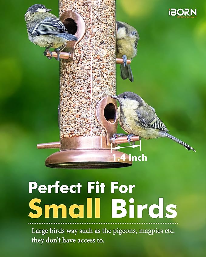 iBorn Metal Bird Feeders Metal Bird Feeder Copper for Outdoors Hanging All Metal Copper Finishing 14 Inch 4Port(Seed is not Included)-Ruum Studio Home