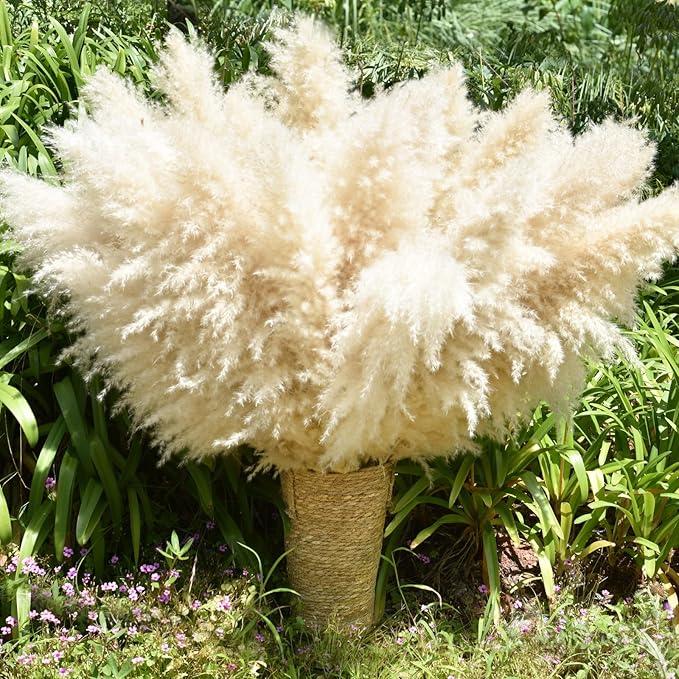 40" 33PCS Dried Pampas Grass Decor Tall,Large Natural Beige pompas Grass Tall Pampas Grass for Floor Vase,Wedding,Party,Farmhouse,Boho Home Decor,and Creating a Bohemian Ambiance-Ruum Studio Home