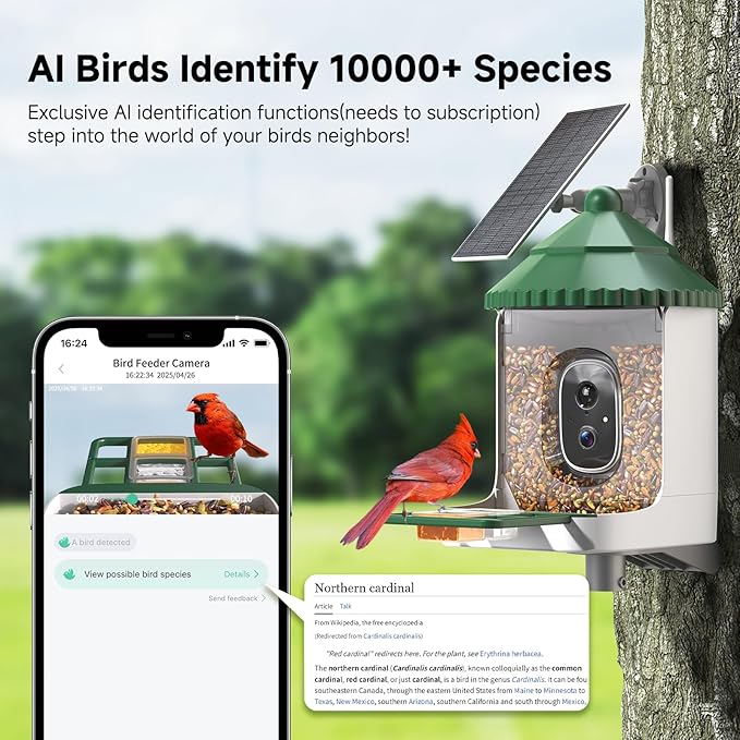 Bird Feeder with Camera AI Identify 2K Live Video Smart Bird Feeder with Camera, 2.4GHZ WiFi Solar Birds House Cameras, Motion Detection Instant Arrival Alerts, Ideal Present for Birds Lovers-Ruum Studio Home
