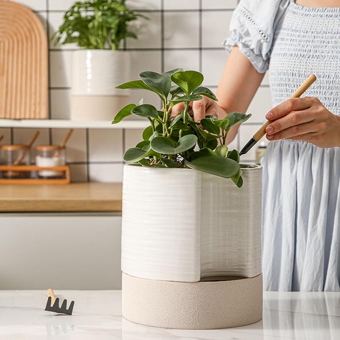 Nihow Self Watering Plant Pot: 8 Inch Ceramic Planter with Drainage Hole & Water Storage Plus for Indoor & Outdoor Plants - Cylinder Round Flower Pot for Succulent/Herbs/Violets - Cream White & Brown-Ruum Studio Home