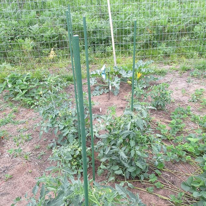 Garden Plant Stakes 36 Inch 3Ft Steel Plant Stick Support, 25 Pack Tomato Stakes for Growing Climbing Plants, Potted Plants, Tomatoes, Trees, Cucumber, Beans, Fences Poles-Ruum Studio Home