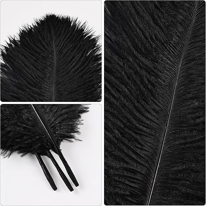THARAHT Black Ostrich Feathers 24pcs Natural Bulk 10-12Inch 25cm-30cm for Crafts Wedding Party Centerpieces Halloween and Home Decoration Feathers-Ruum Studio Home