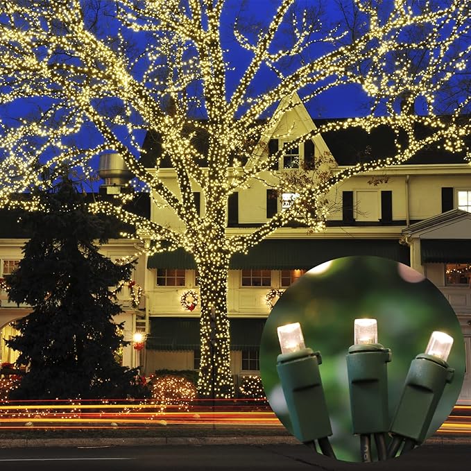 Warm White Wide Angle LED String Lights, 64.8 Ft 300 Count, Pack of 3 Strands 21.9 Ft 100 Lights UL Certified Commercial Grade Green Wire 5mm Holiday String Light-Ruum Studio Home