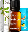 Gya Labs Eucalyptus Essential Oil for Diffuser - 0.34 Fl Oz - 100% Pure Natural Eucalyptus Oil for Skin, Humidifier, Candle Making & Aromatherapy - Fresh, Cooling Scent-Ruum Studio Home