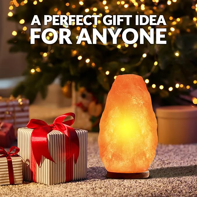 Himalayan Glow Salt Lamp with Dimmer Switch 5-7 lbs-Ruum Studio Home
