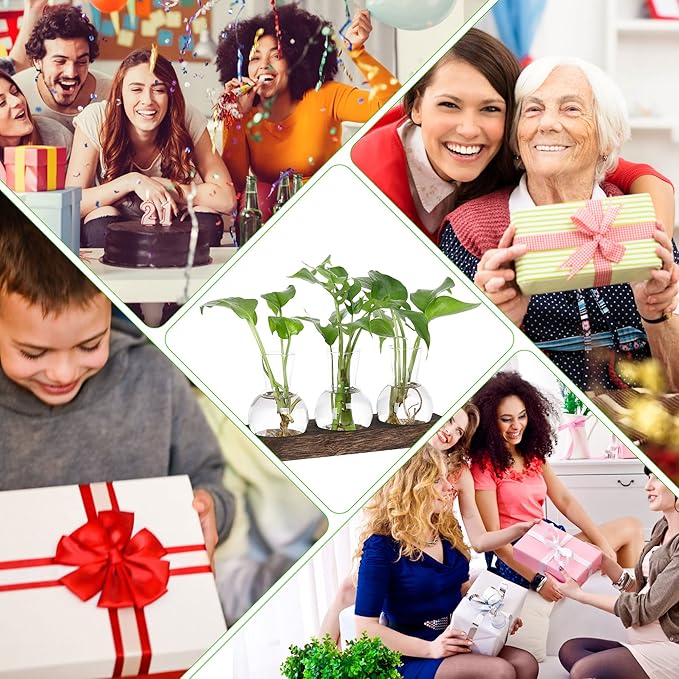 YIBOT Propagation Stations,Plant Propagation Vase,Desk Plant Terrarium with Retro Wooden Stand,Plant Lover Gifts for Women for Hydroponics Plants Home Garden Wedding Decor(3 Vase)-Ruum Studio Home