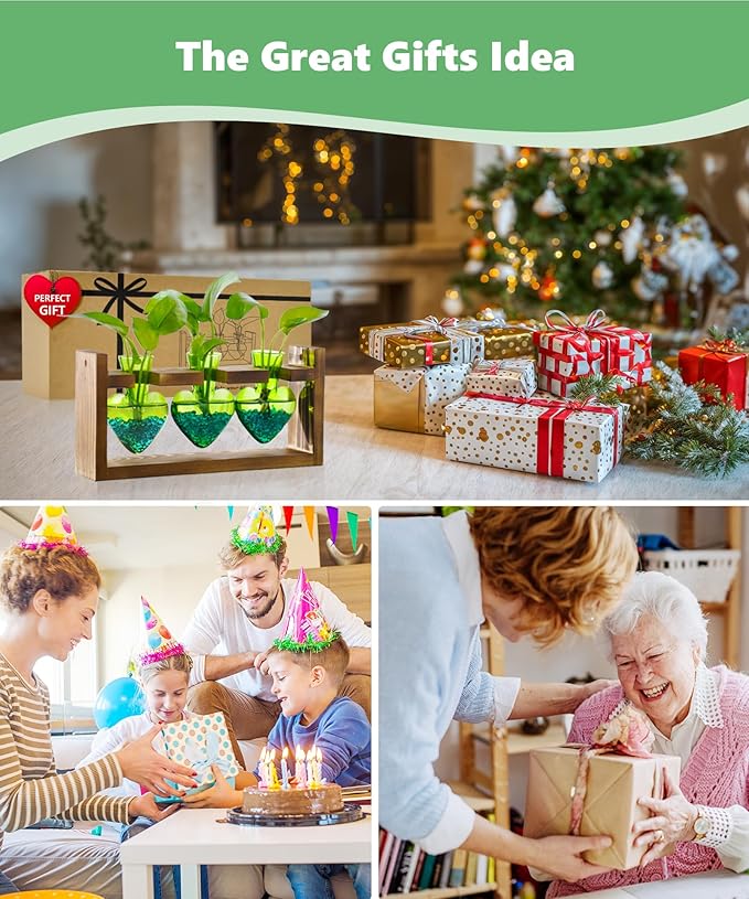 Nacome Plant Terrarium for Office Decor: Birthday Gifts for Plant Lovers Women Mom Wife - Wooden Stand Tabletop Planter 3 Bulb Glass Vase Heart Shaped for Hydroponics Indoor Home(Green)-Ruum Studio Home