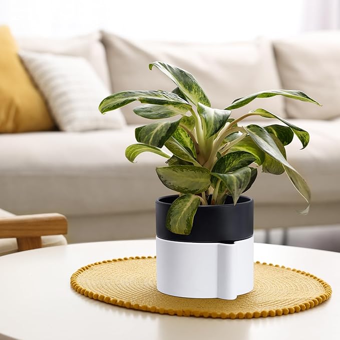 Phoenix Vine 6.5 Inch Self-Watering Planter Pot with Terracotta Insert, Deep Water Reservoir, and Ceramic-Alike BPA-Free Plastic Pot for Plant, Modern Planter for Houseplants, White/Black, 53-B-S-4-Ruum Studio Home