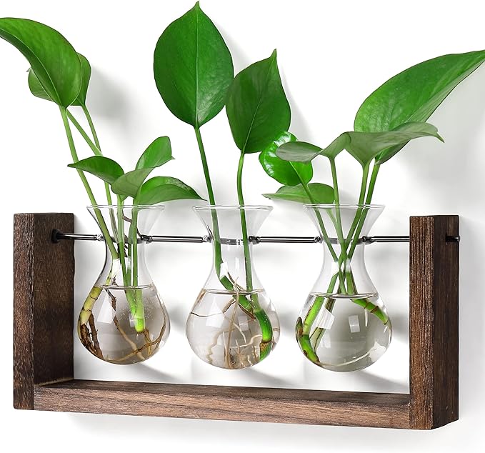 YIBOT Wall Hanging Planter Propagation Station, Plant Terrarium with Wooden Stand, Hydroponics Plants Home Office Living Room Decor Gift-3 Bulb Glass Vases-Ruum Studio Home