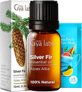 Gya Labs Silver Fir Essential Oil for Diffuser - 0.34 Fl Oz - 100% Pure Natural Silver Fir Oil for Skin, Hair, Aromatherapy & Candle Making Scent-Ruum Studio Home
