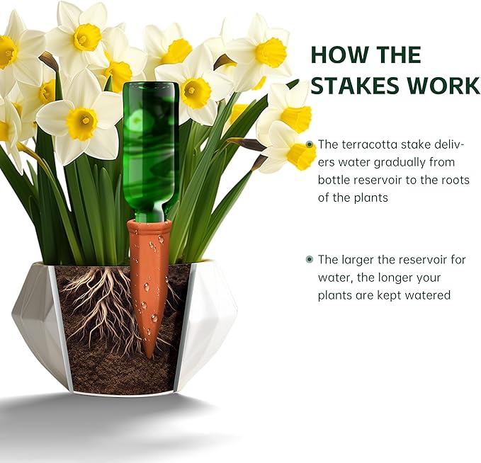 Large Terracotta Plant Watering Spikes, Automatic Plant Waterer Outdoor | Indoor Use, Vacation Clay Watering Devices System, Slow Release Self Watering Planter Insert, 6 Pack-Ruum Studio Home