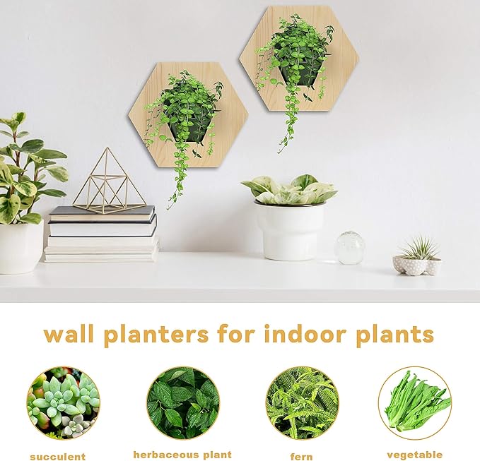 Hexagonal Wooden Wall Planter, Self Watering Living Vertical Planters Indoor, Wooden Frame Planter Wall Decoration Home Office 2pc-Ruum Studio Home