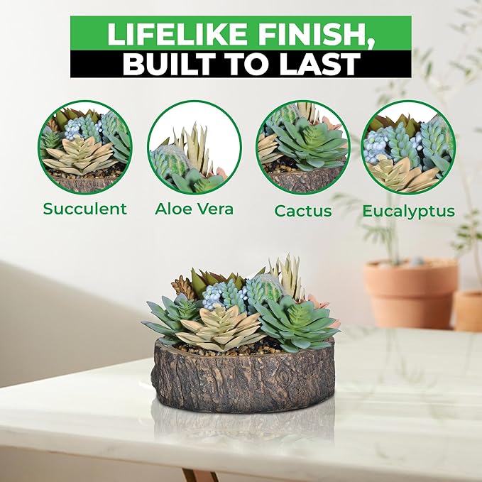 Premium Assorted Artificial Succulent Collection - Large Real Touch Artificial Cactus, Aloe Vera & Succulent Plants Artificial with Pots for Home Office Indoor (Artificial Tree Stump - Pot)-Ruum Studio Home